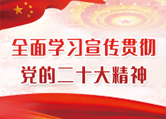 第二十次全国代表大会