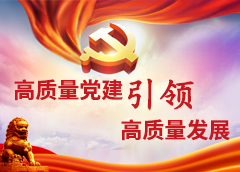 高质量党建引领高质量发展